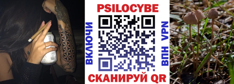Псилоцибиновые грибы мухоморы Балашиха